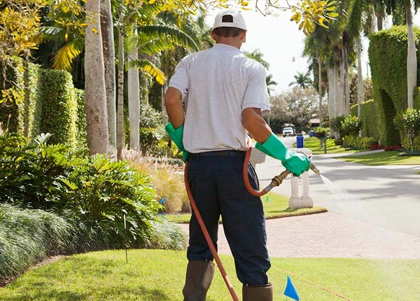 About Grafton IA Pest Control Pros